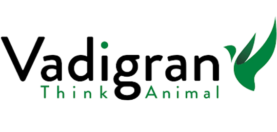 Vadigran